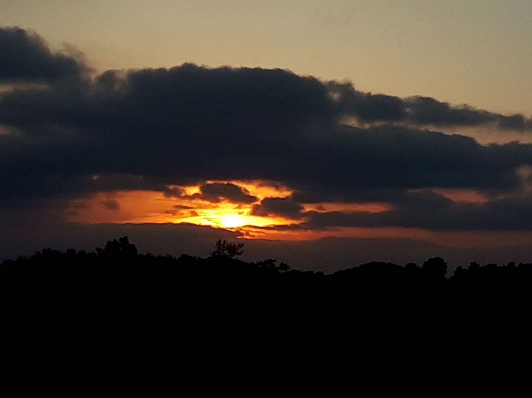 Guest House Carpe Diem主图