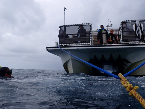 South Beach Dive and Surf Centers-迈阿密海滩必去景点