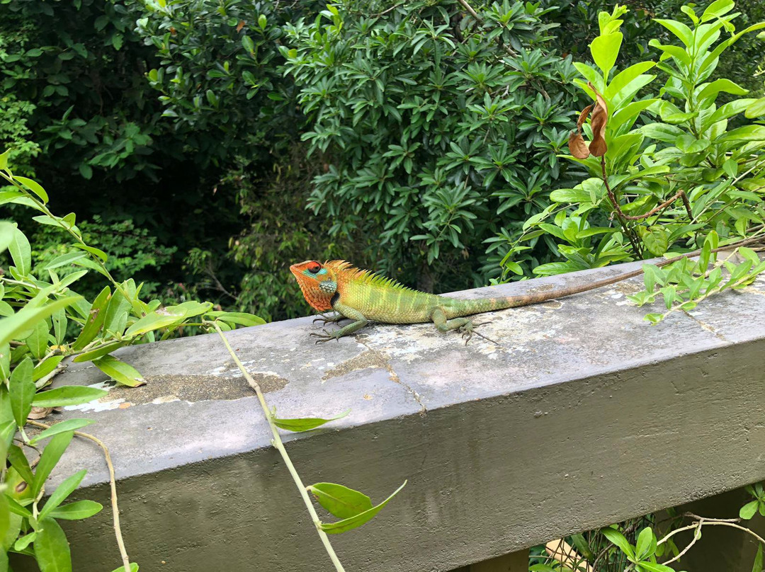 Barberyn Beach Ayurveda Resort主图