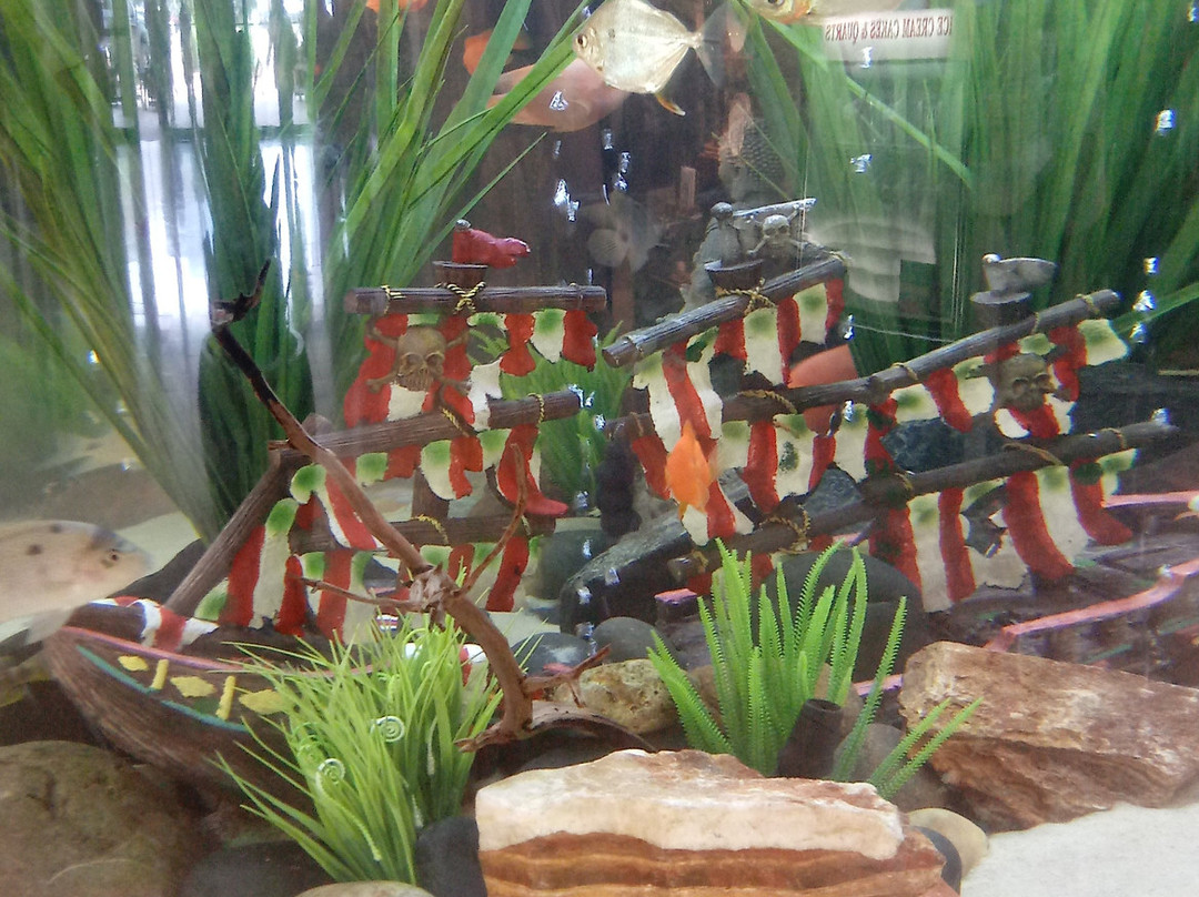 The Woodlands Mall-伍德兰兹必去景点