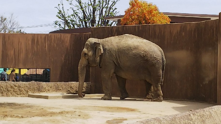 Hitachi City Kamine Zoo-日立市必去景点