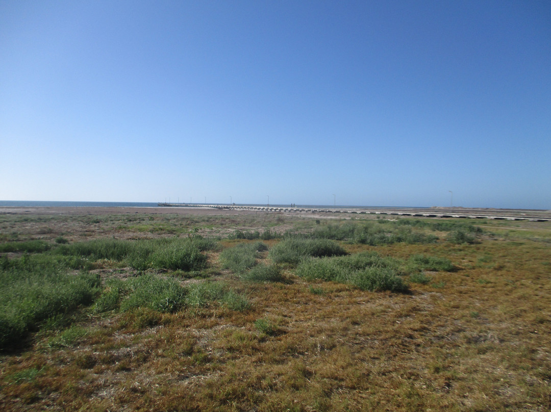 Kingston SE Beach-金斯顿镇必去景点