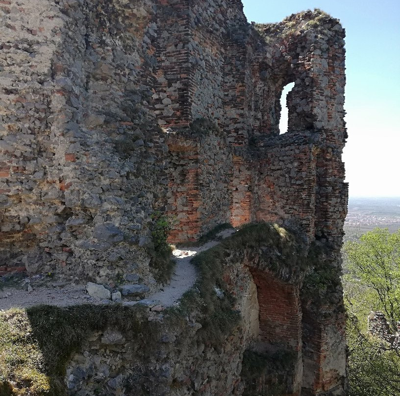 Pajstun Castle景点图片