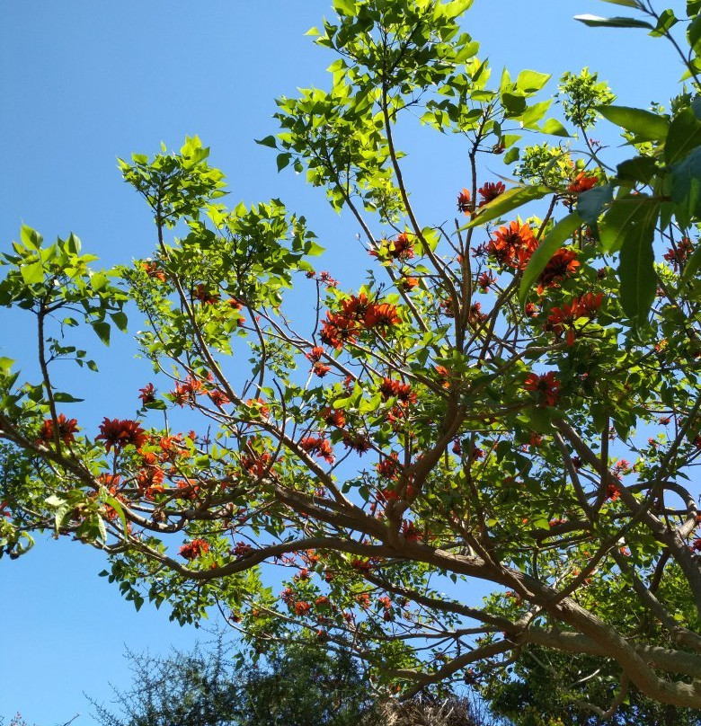 Botanical  Gardens Of Crete景点图片