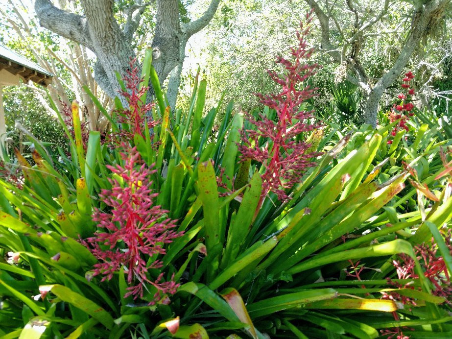 Rotary Park Environmental Center-开普科勒尔必去景点