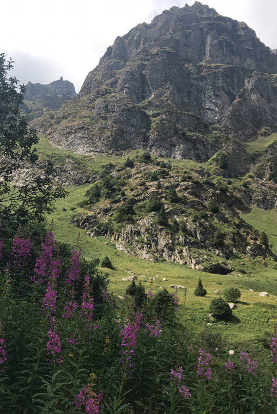 Ile-Alatau National Park-阿拉木图必去景点