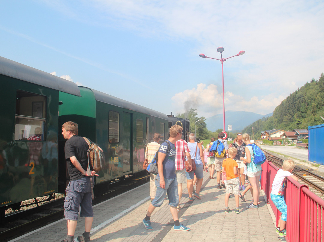 Pinzgauer Lokalbahn景点图片