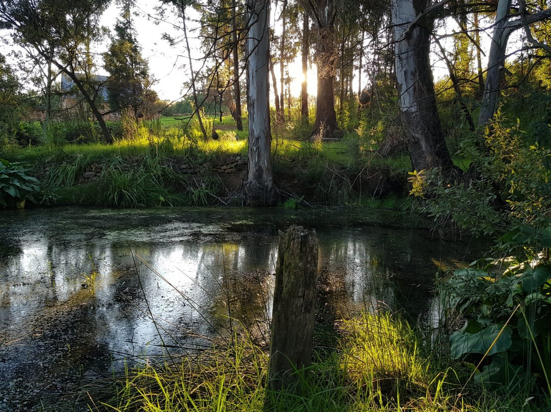 Cpirit Country Haven主图