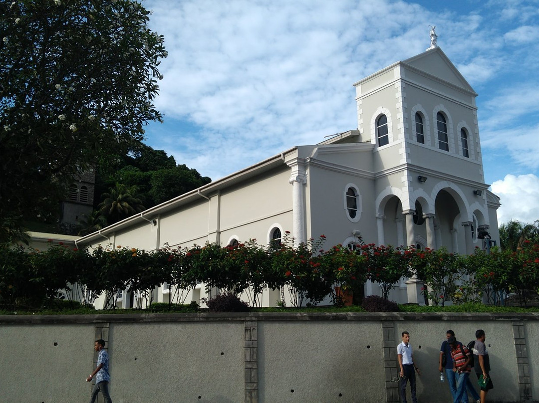 Cathedral of Our Lady of Immaculate Conception景点图片