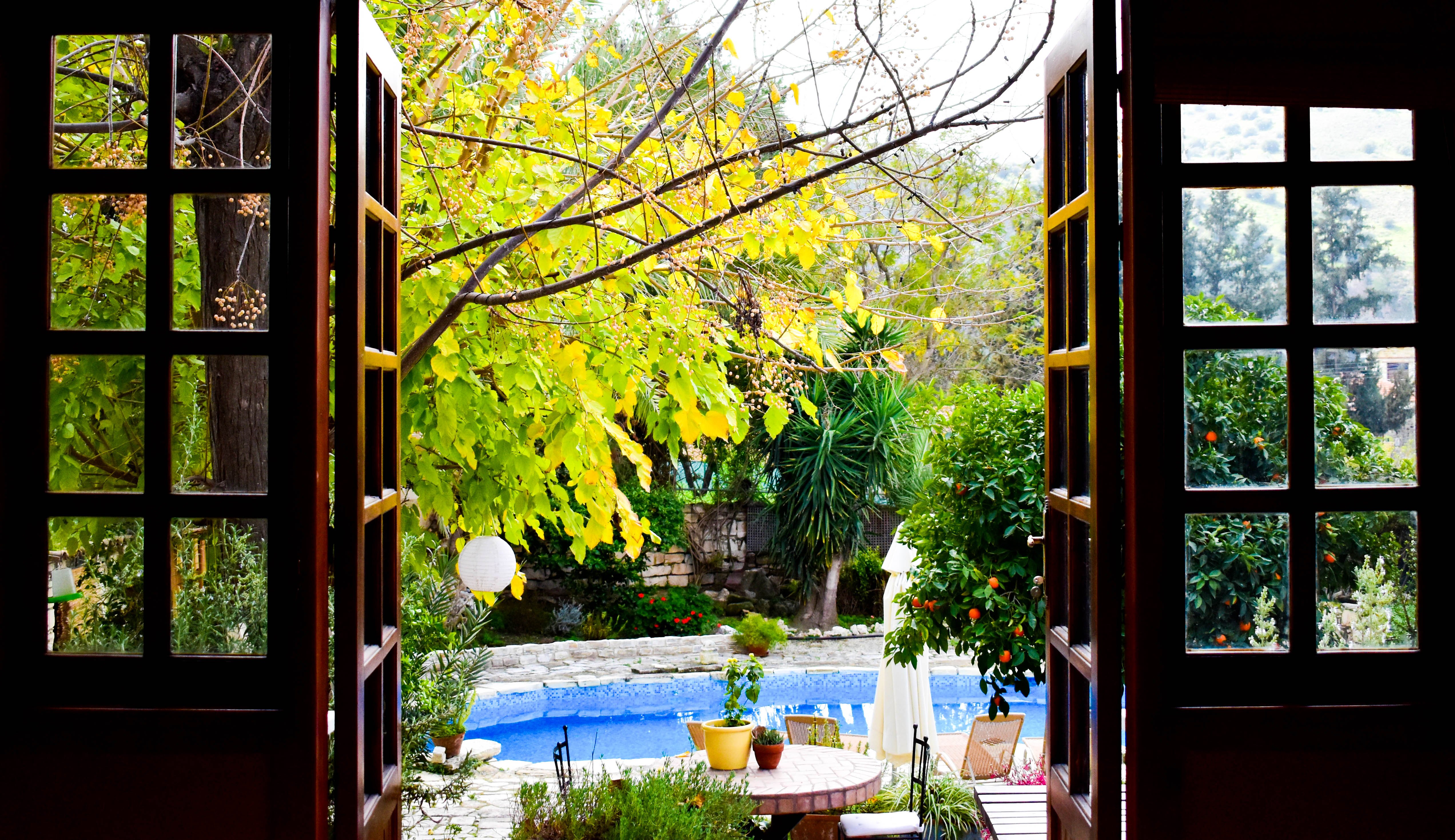 Bougainvillea Guesthouse-官方
