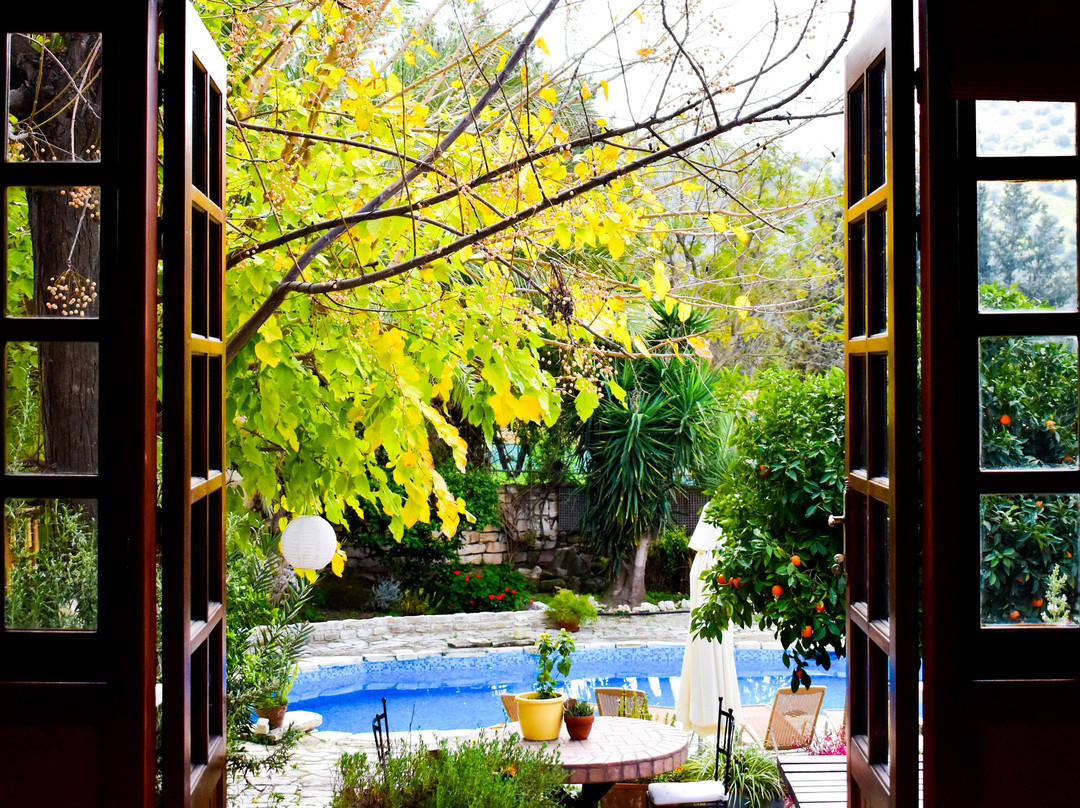 Bougainvillea Guesthouse主图