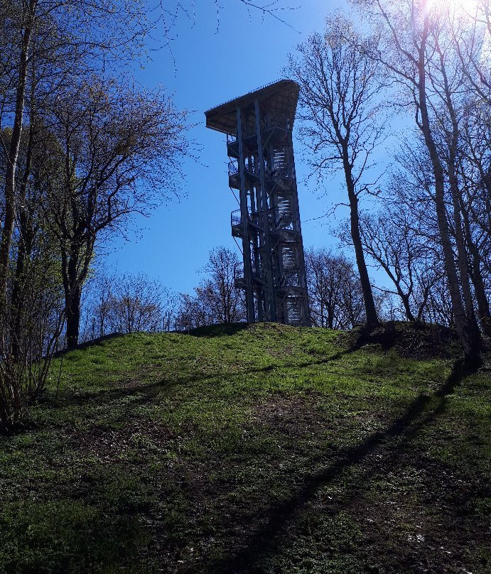 Neuenkirchen旅游攻略图片