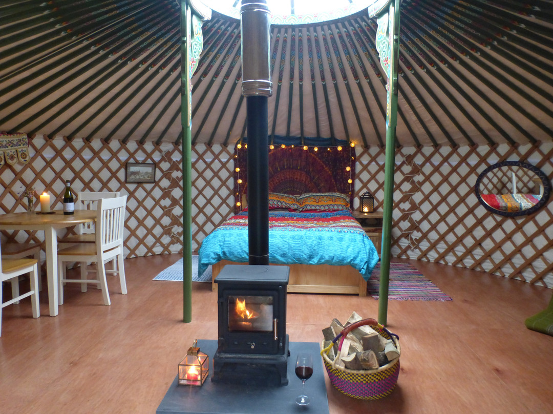 Ffynnonwen Camping & Glamping