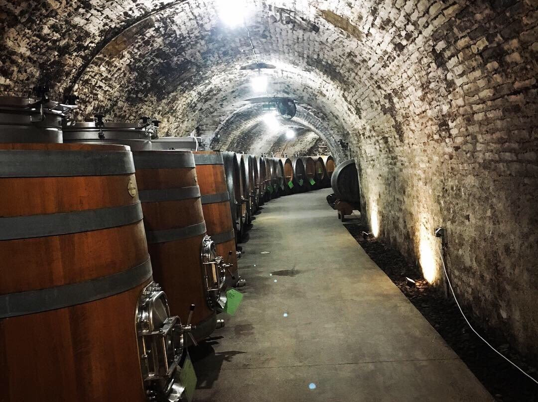 Weingut Fred Loimer-Langenlois必去景点