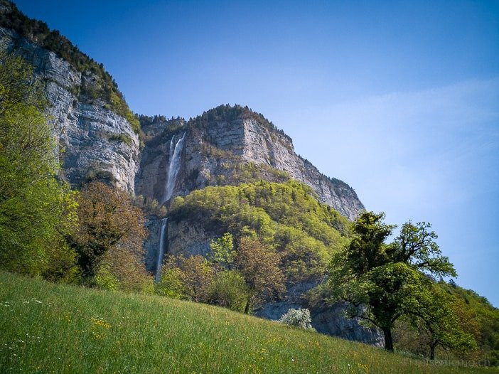 Seerenbach Falls景点图片