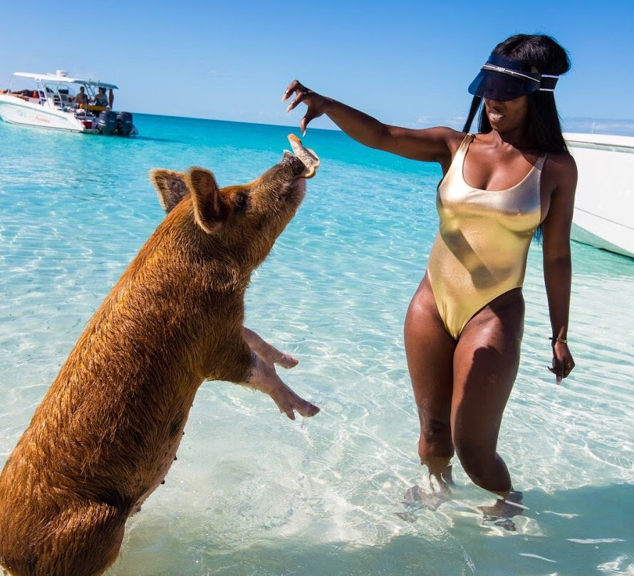 Live Good Adventures-George Town必去景点