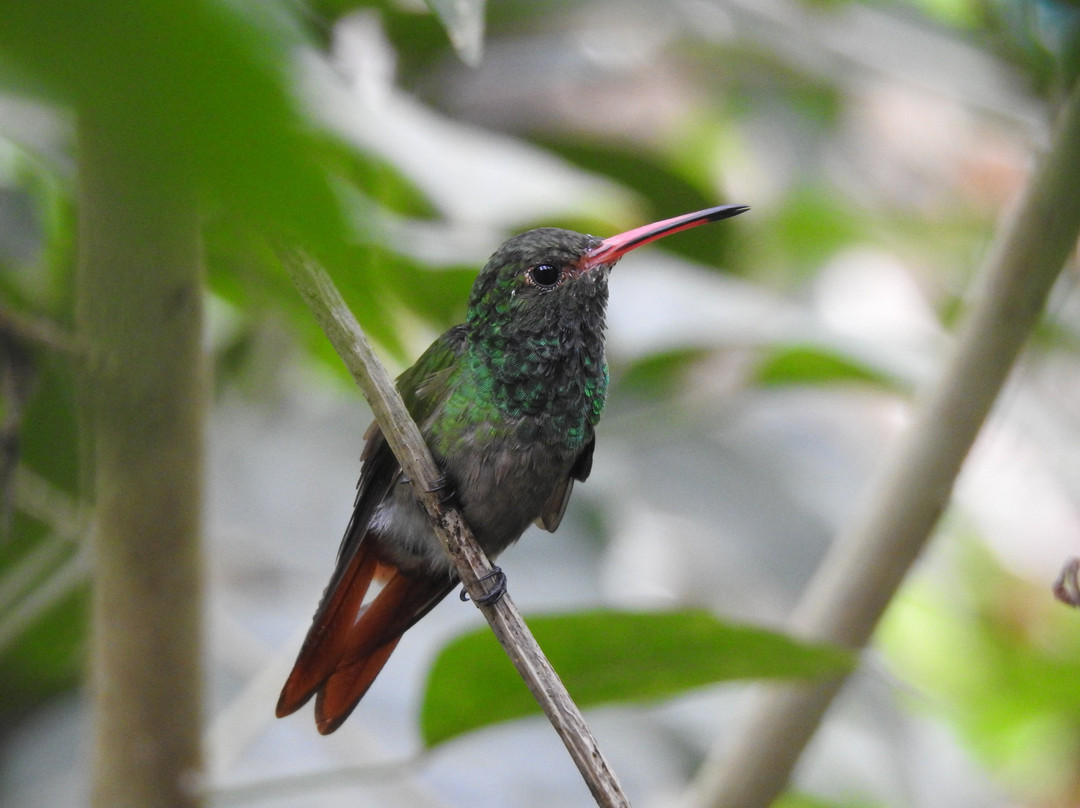 Posada del Mar Bahía Solano主图