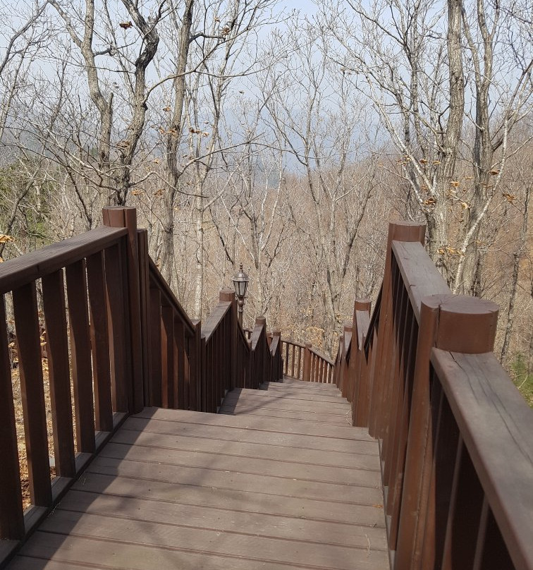 Botanical Garden Of Gyeongsangbukdo-浦项市必去景点
