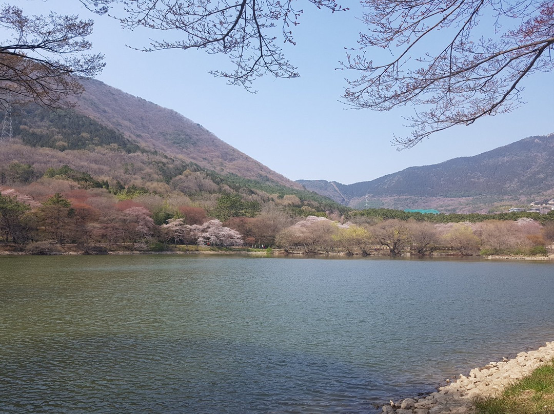 Jinhae NFRDI Environment Eco-park-昌原市必去景点