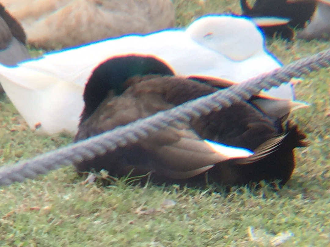 Maverick County Lake-Eagle Pass必去景点