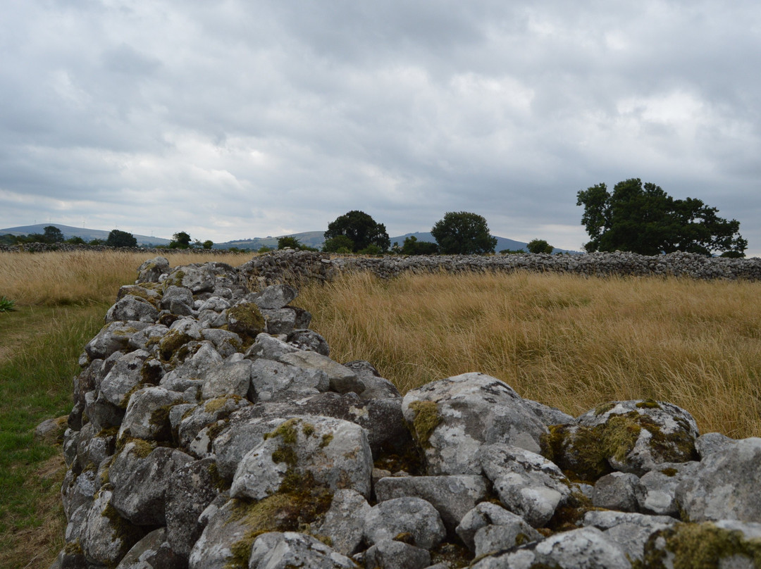 Shillelagh旅游景点-Rathgall Hillfort
