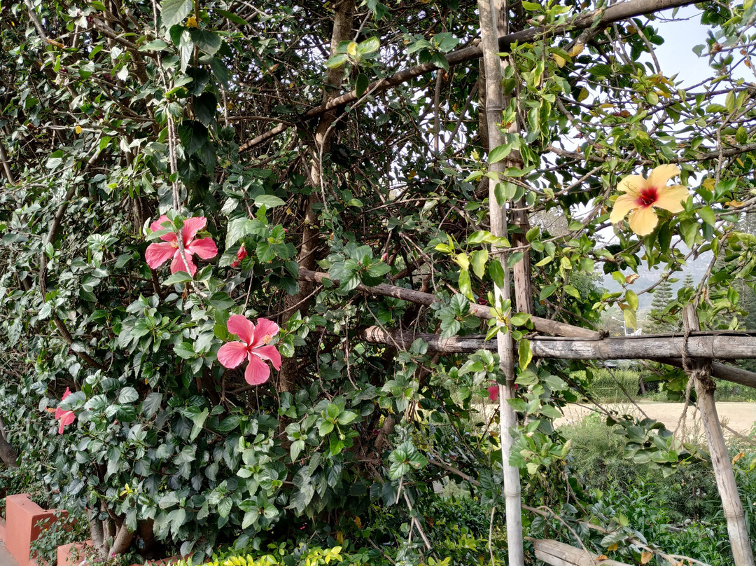 Peace Park-阿布山必去景点