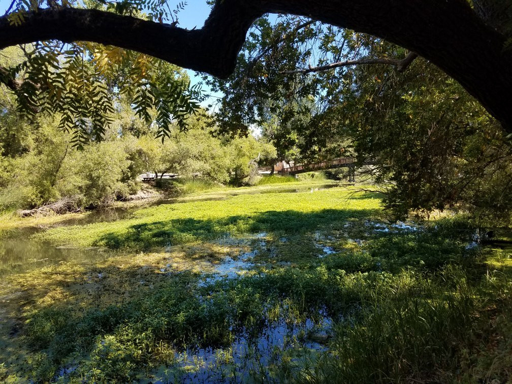 Clear Lake State Park景点图片