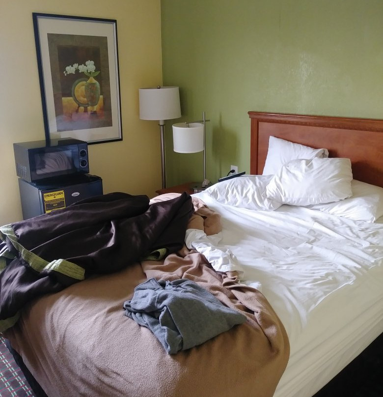 Days Inn by Wyndham Bowling Green主图