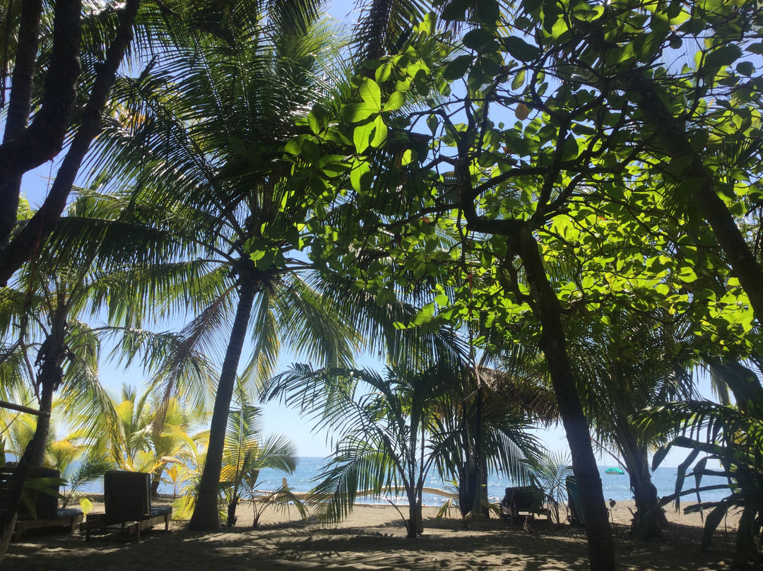 Fenix Hotel - On The Beach主图