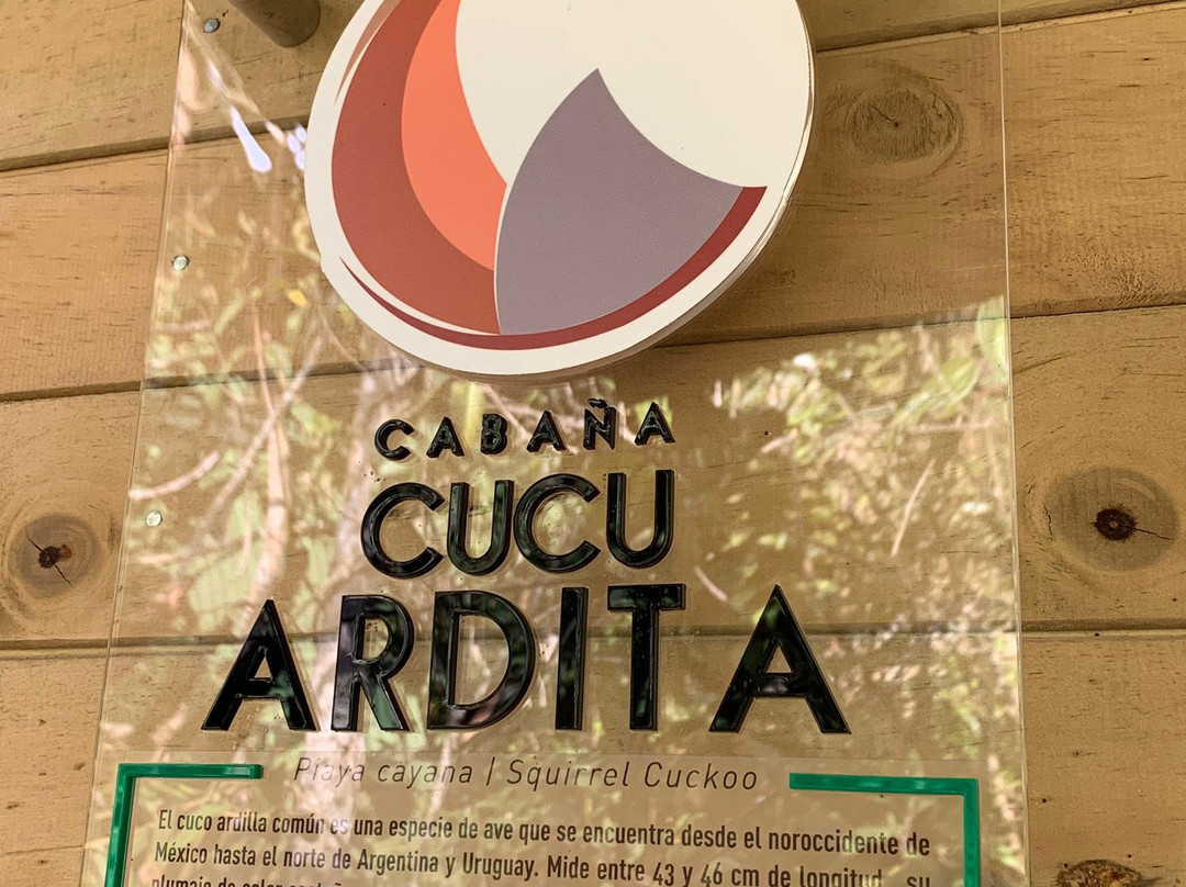 Monte Helicon Ecolodge And Spa主图