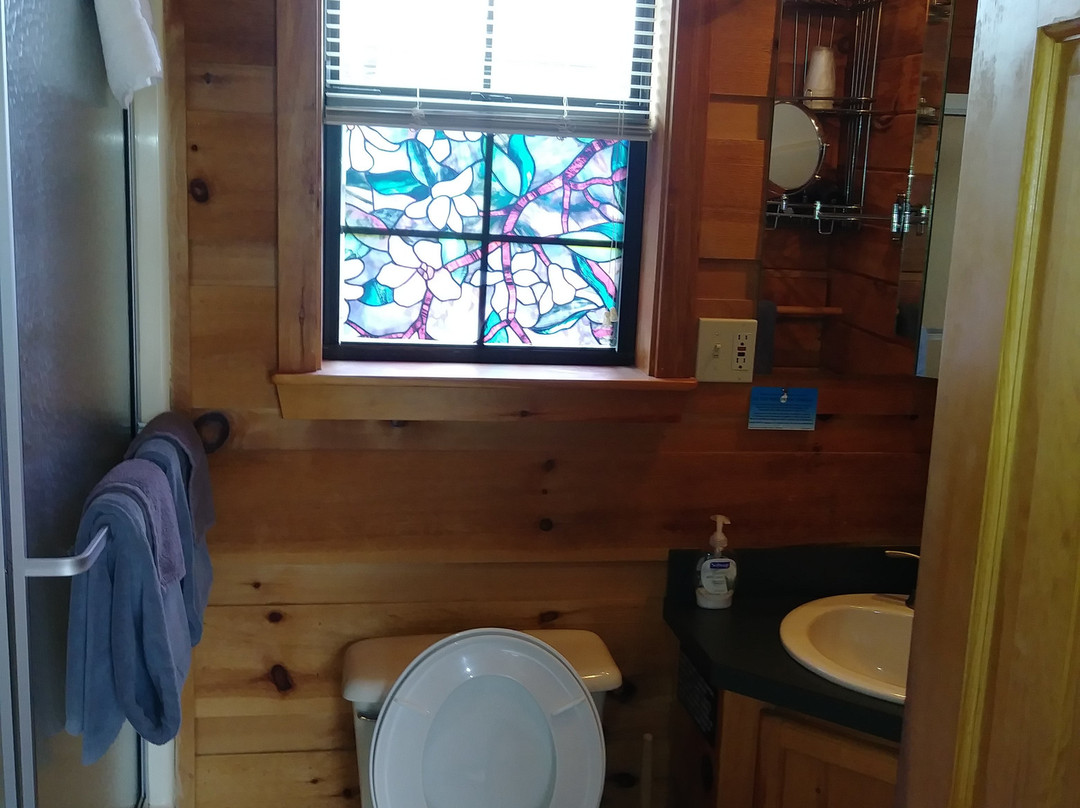 Dock's Motel & Cabins主图