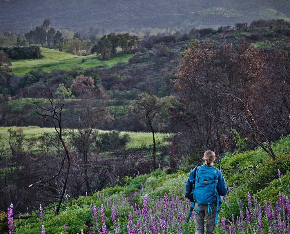 Ojai Valley Land Conservancy-奥海必去景点