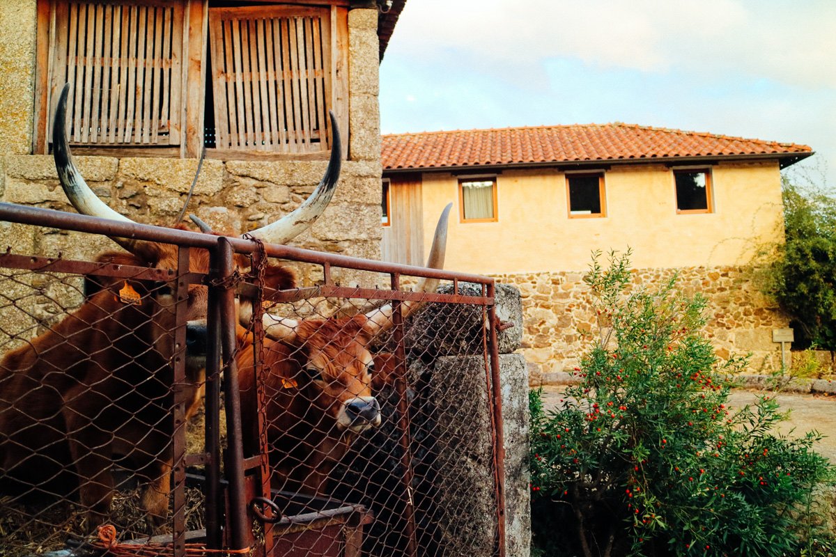 Quinta do Rapozinho-浴室