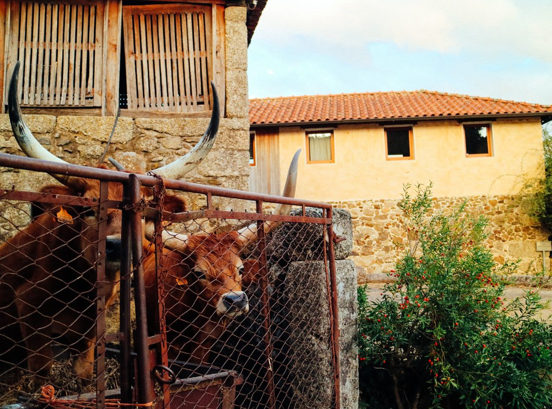 Quinta do Rapozinho主图