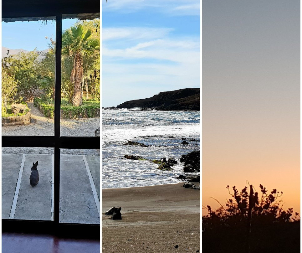 Casa De France主图