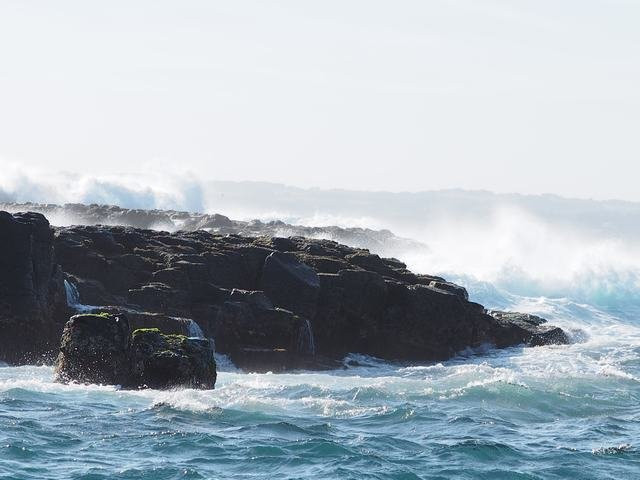 Phillip Island Nature Parks-考斯必去景点