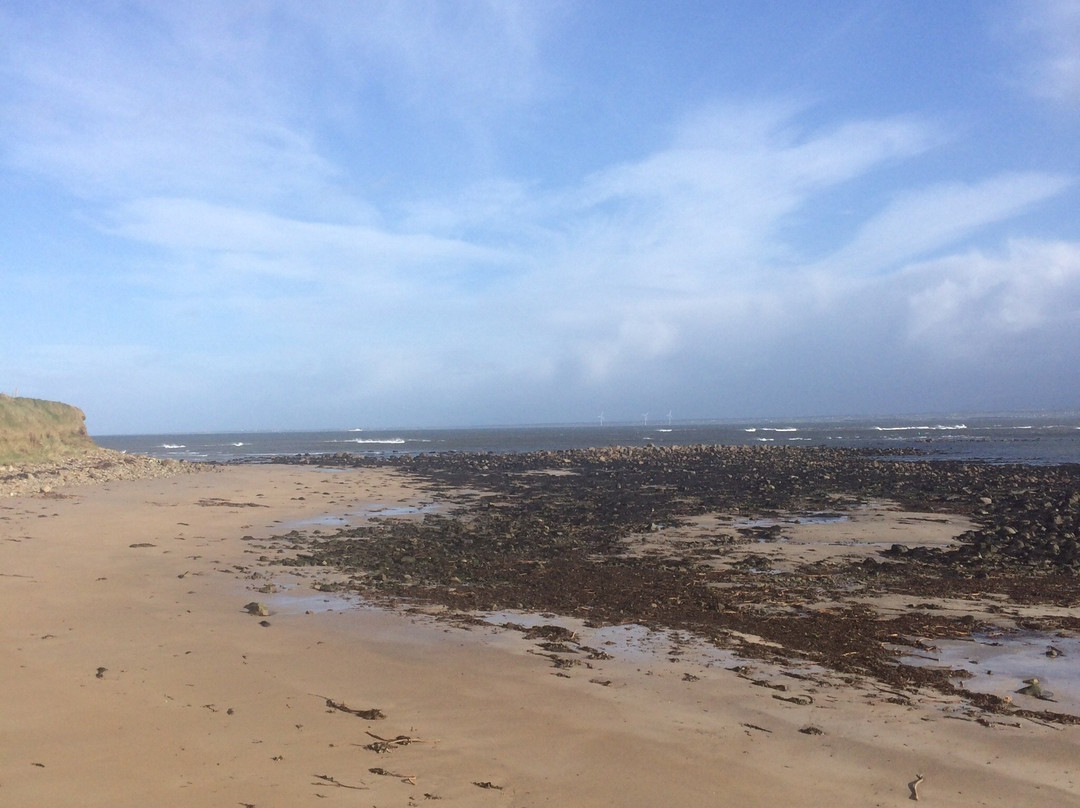 Ross Beach景点图片