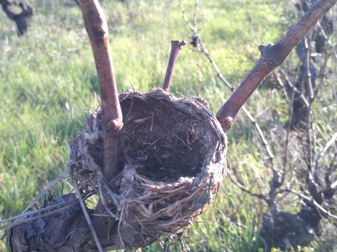 Domaine Val de Ray景点图片