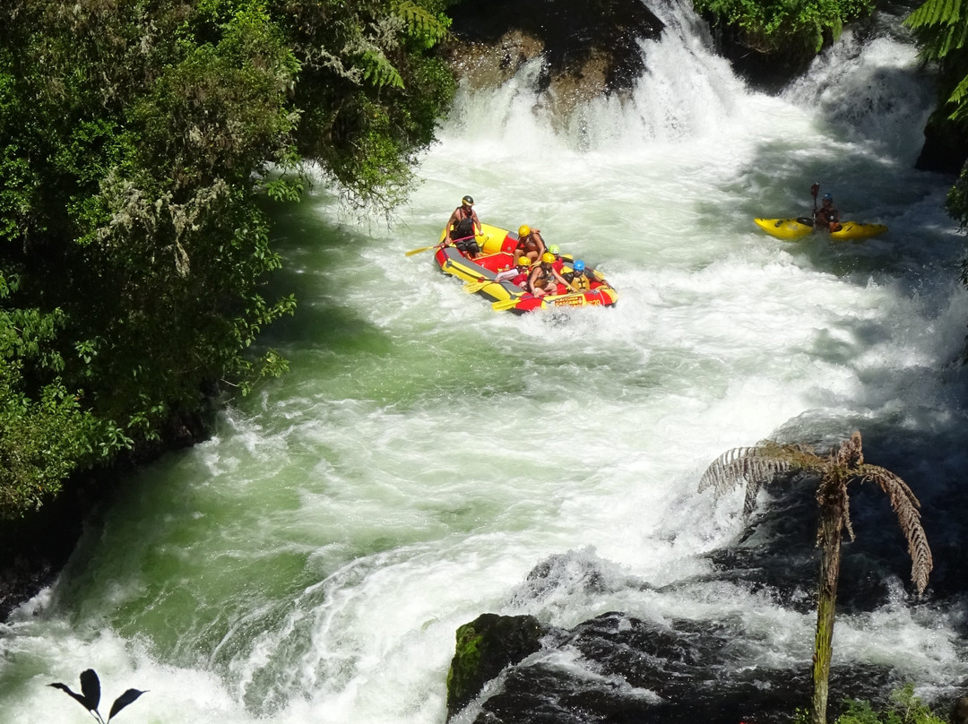 Cruise Tours Tauranga-陶兰加必去景点