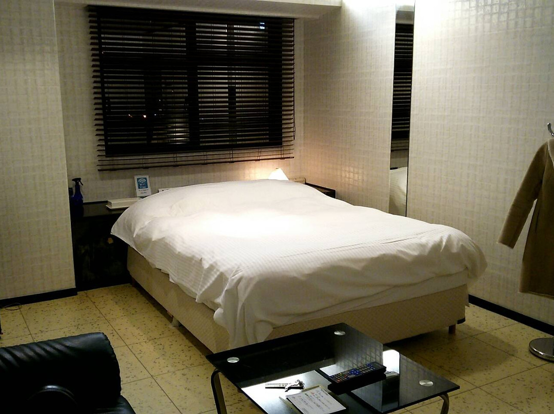 Hotel Ritz Koshien主图