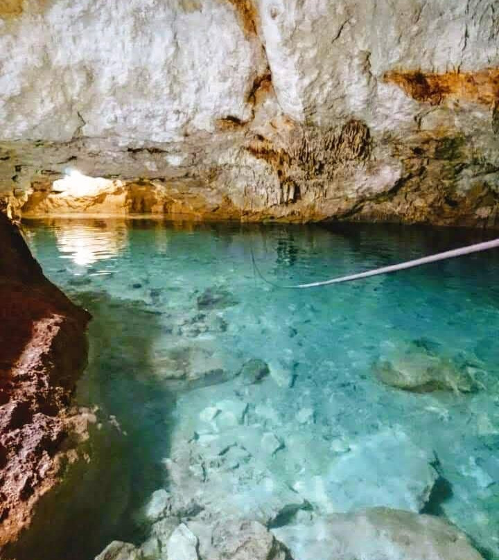 Tours Cenotes de Homún景点图片