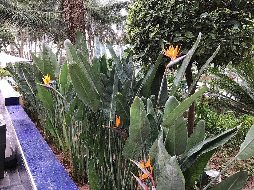 La Tour Hassan Palace主图