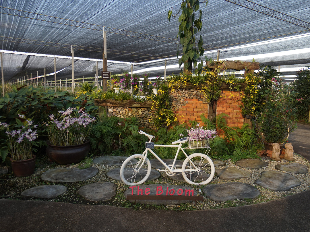 The Blooms Orchid Park景点图片