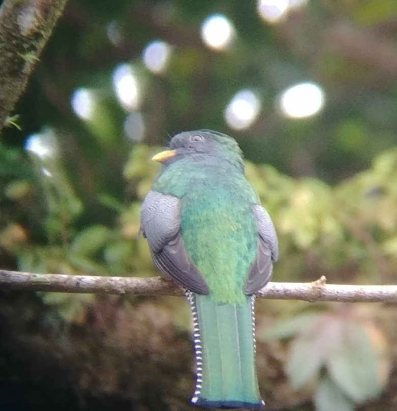 Costa Rica Wild Tours景点图片