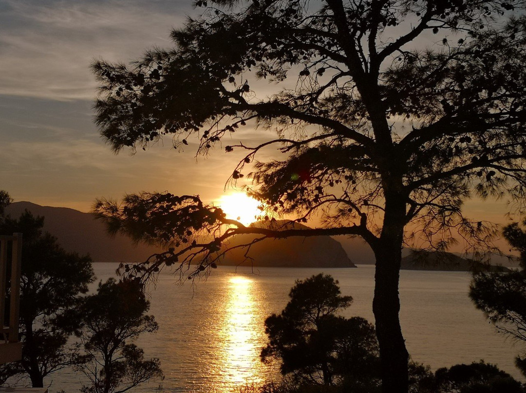 Marpunta Resort主图