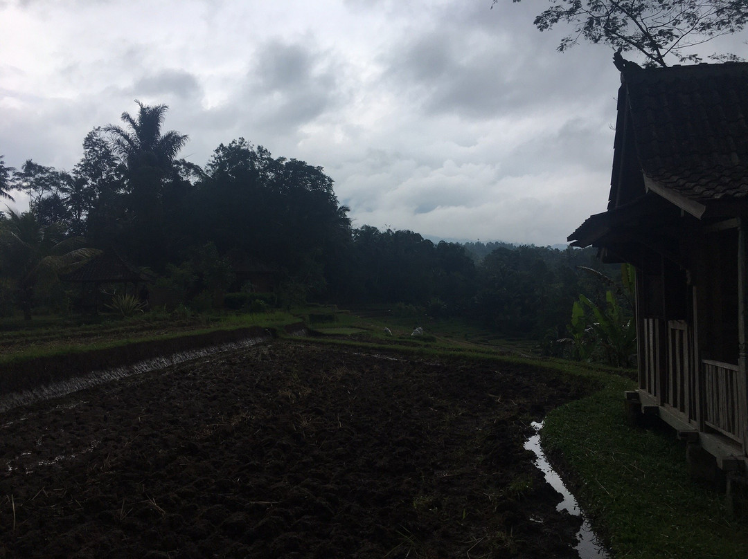 Batukaru Adventures-达巴南必去景点