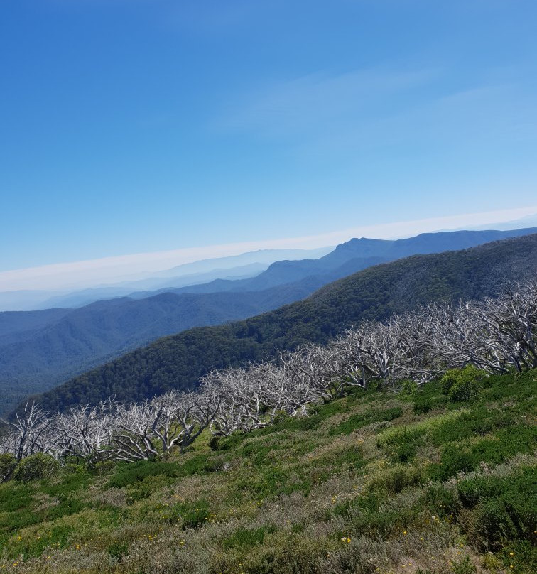 Tru-Blu Trails-Merrijig必去景点