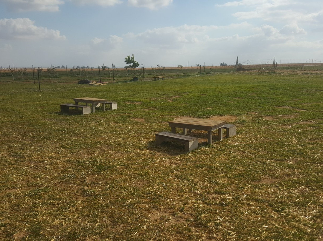 Tzeela Dairy-Ein Habesor必去景点