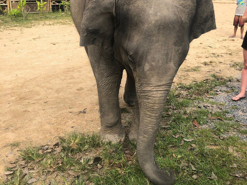 Koh Samui Tour & Transportation-查汶海滩必去景点