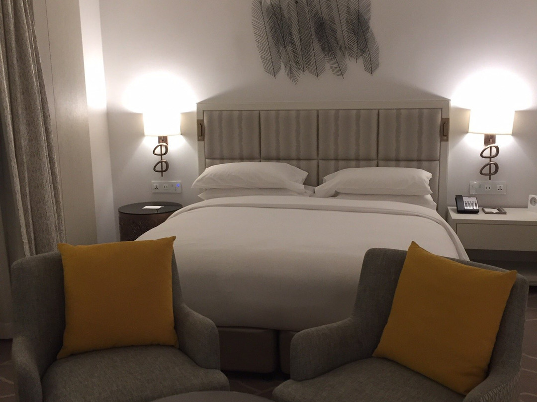 Hyatt Regency Addis Ababa主图